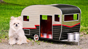 karavan_pre_psa