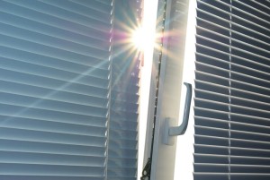 plastova-okna-roseni